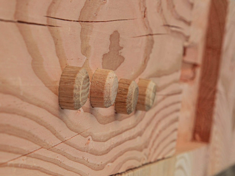 Wooden Peg Fastener detail