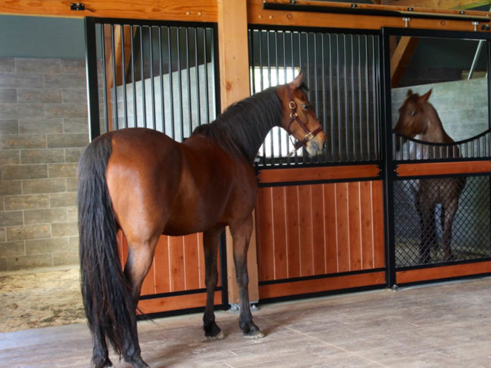 Timber Frame Horse Barn Stalls Interior