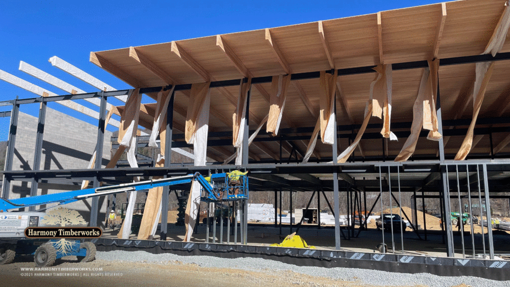 timber frame roof